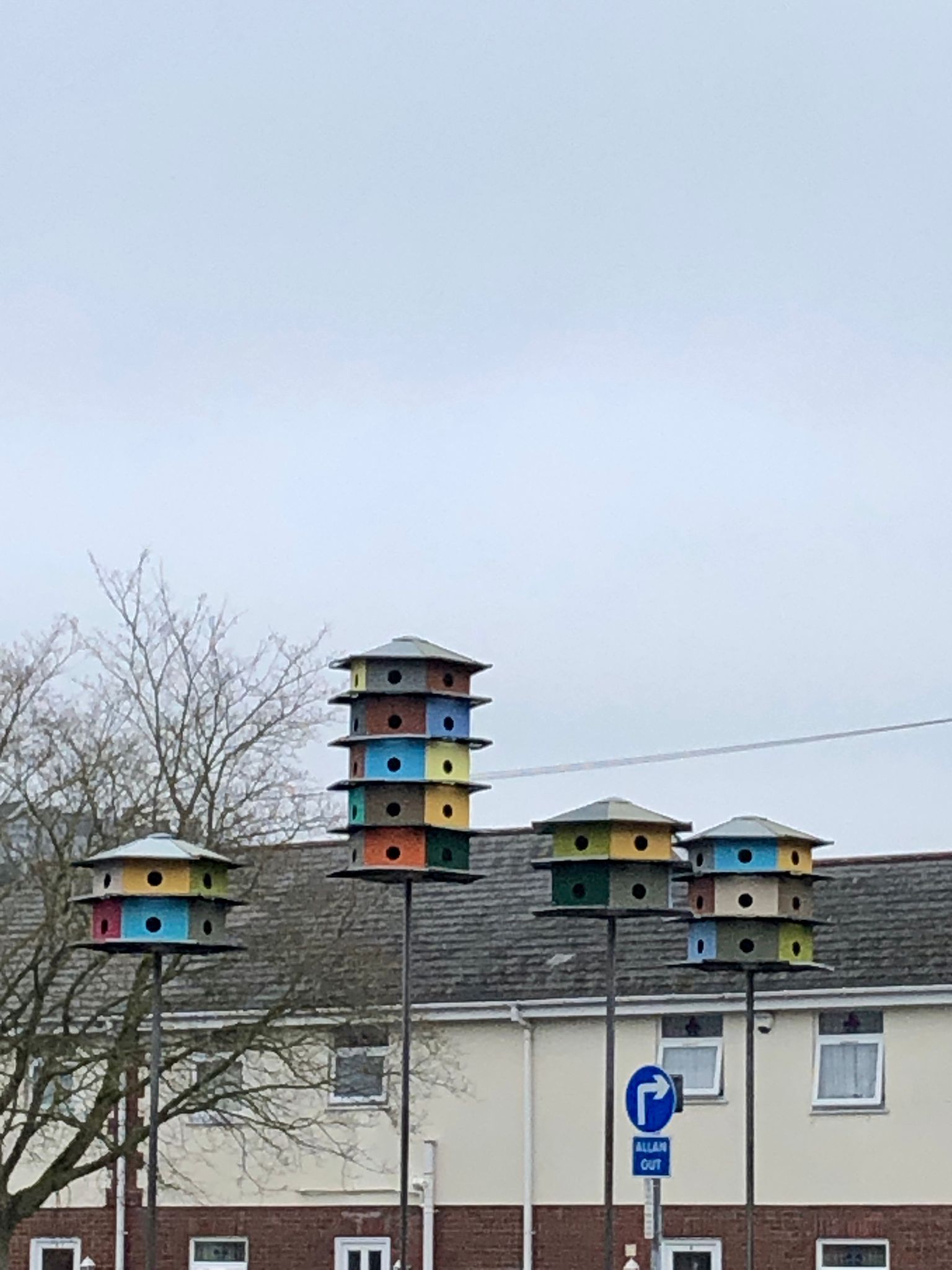 Bird Boxes 2